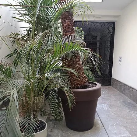 Apartamentos Luxury Puente De Triana Seville Exterior photo