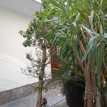Apartamentos Luxury Puente De Triana Seville Exterior photo